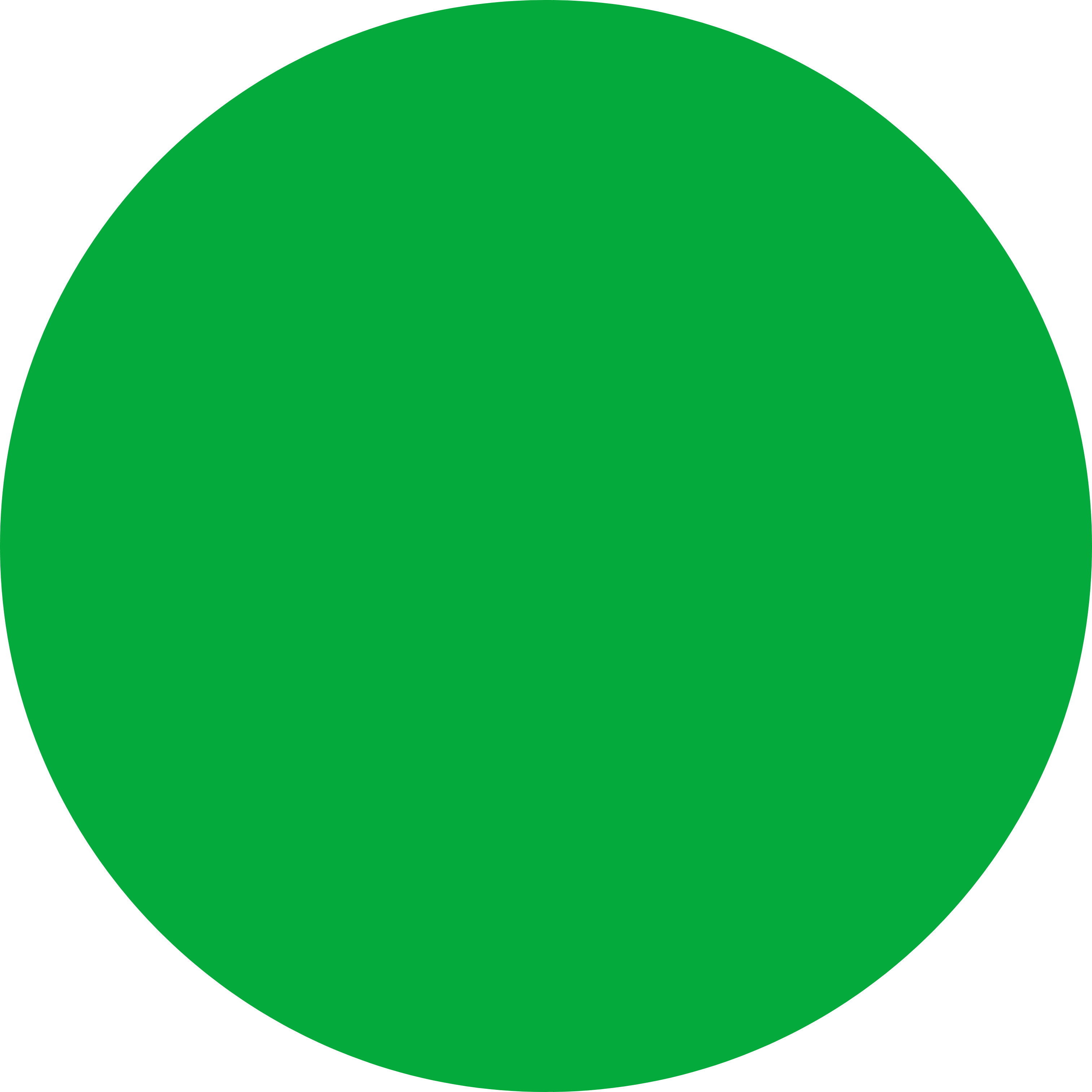 Solid green circle on a white background