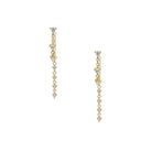 Double Strand CZ Pierced Earrings

Yellow Gold Plated
Short Strand: 0.45" Long X 0.09" Wide
Long Strand: 1.5"Long X 0.09" Wide