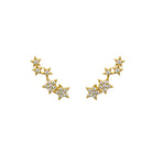 CZ 5 Star Stud Pierced Earrings

Yellow Gold Plated Over Silver
0.68" Long X 0.22" Wide

While supplies last. All Deals Of The Day sales are FINAL SALE.