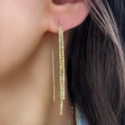Two Strand Threader Pierced Earrings

Yellow Gold Plated
2.46" Long