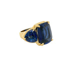 Faux Sapphire &amp; Tanzanite Ring 3 Stone Ring

The Faux Sapphire &amp; Tanzanite Ring adds a unique pop of color with its vibrant stones, creating a distinctive and elegant accessory for any outfit.

Yellow Gold Plated Over Silver
0.65" Width