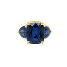 Faux Sapphire &amp; Tanzanite Ring 3 Stone Ring

The Faux Sapphire &amp; Tanzanite Ring adds a unique pop of color with its vibrant stones, creating a distinctive and elegant accessory for any outfit.

Yellow Gold Plated Over Silver
0.65" Width