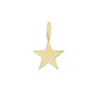 Star Charm Pendant  10K Yellow Gold Plated 0.62" Diameter