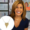Co-host Hoda Kotb on The Today Show wearing yellow gold engraved necklace