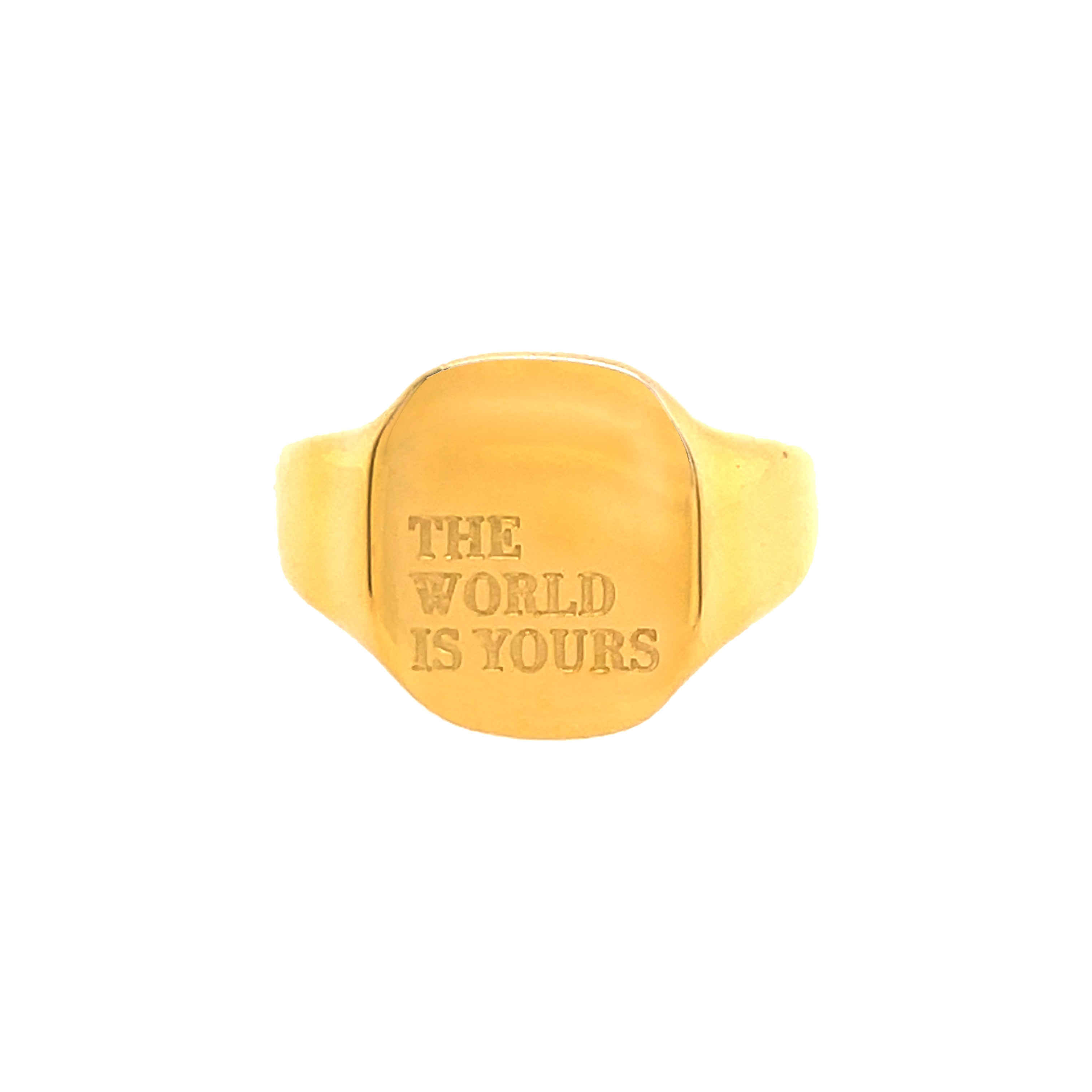 World Is Yours Signet Ring